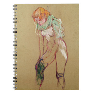 Woman Pulling Up her Stocking, 1894 (oil on card) Notebook
