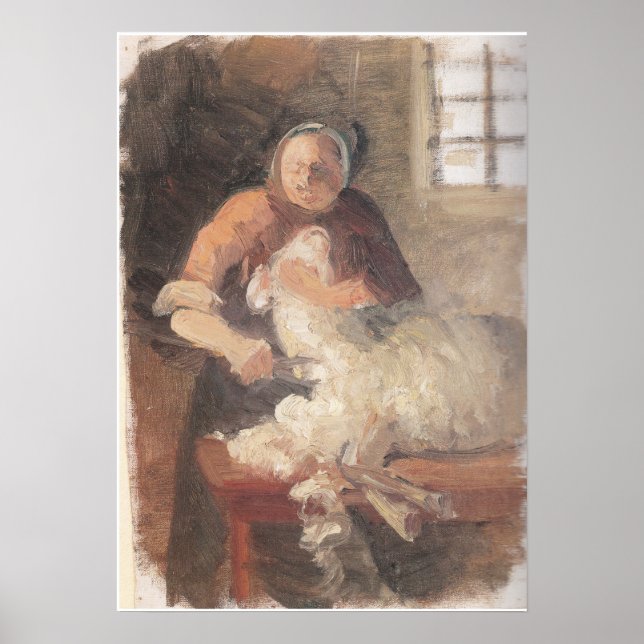 Woman Shearing Sheep Ancher Poster (Front)