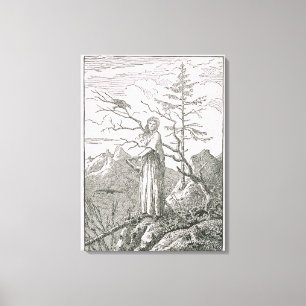Woman with a Raven, on the Edge of a Precipice Canvas Print