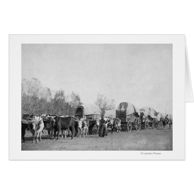 Woman with Ox Train Holds a Whip Photograph (Front Horizontal)