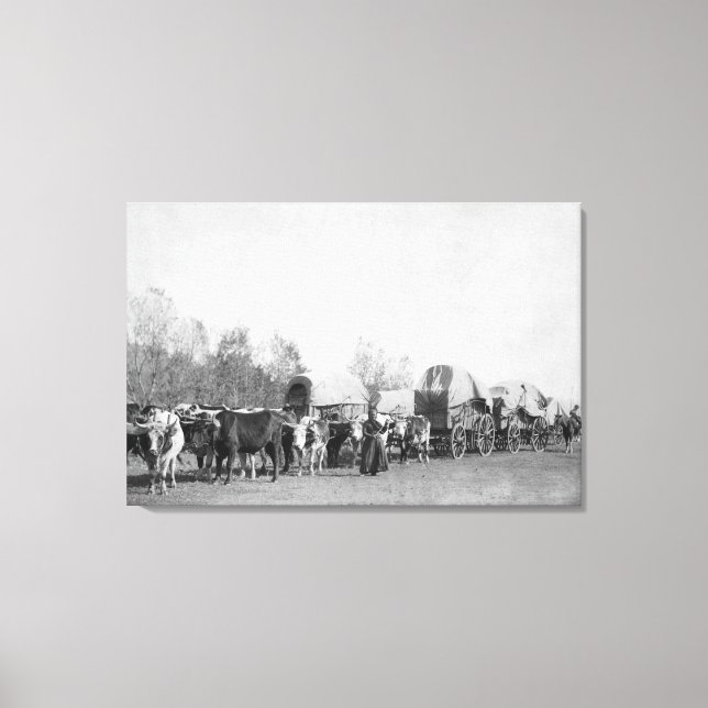 Woman with Ox Train Holds a Whip Photograph Canvas Print (Front)
