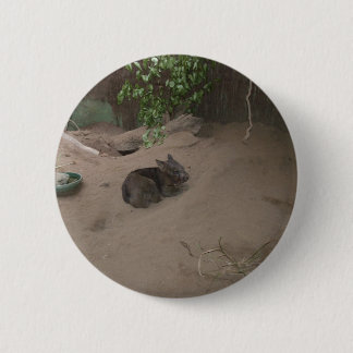 Wombat 2 Inch Round Button