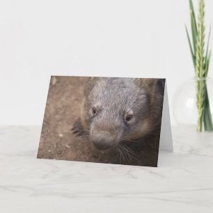 Wombat Kiss Card