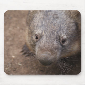 Wombat Kiss Mouse Pad