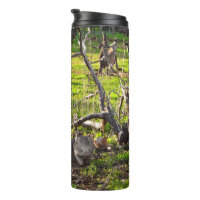 Wombats And Kangaroos, Thermal Tumbler
