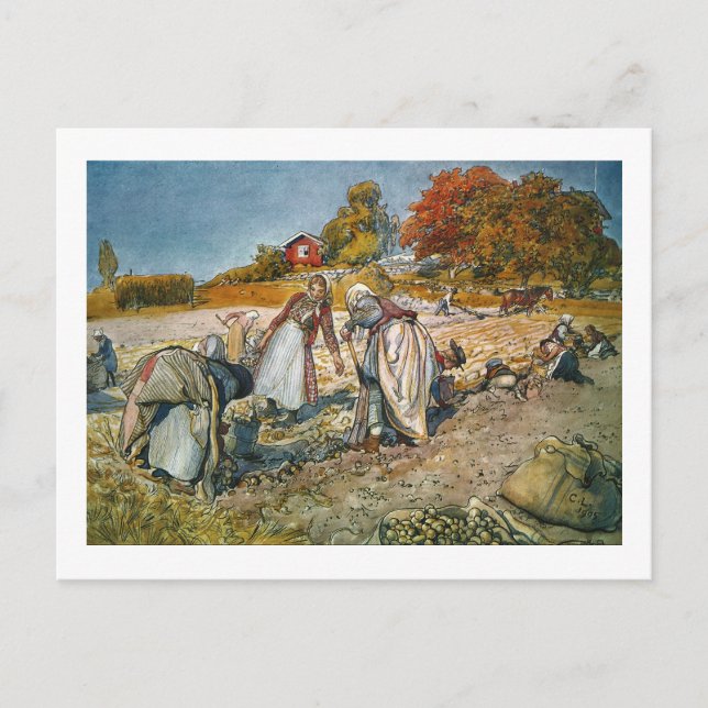 Women Digging Potatoes Holiday Postcard (Front)