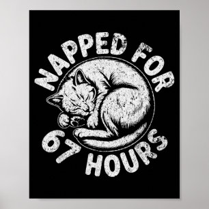 Women Napped For 67 Hours Funny Cat Lover Owner Gi Poster