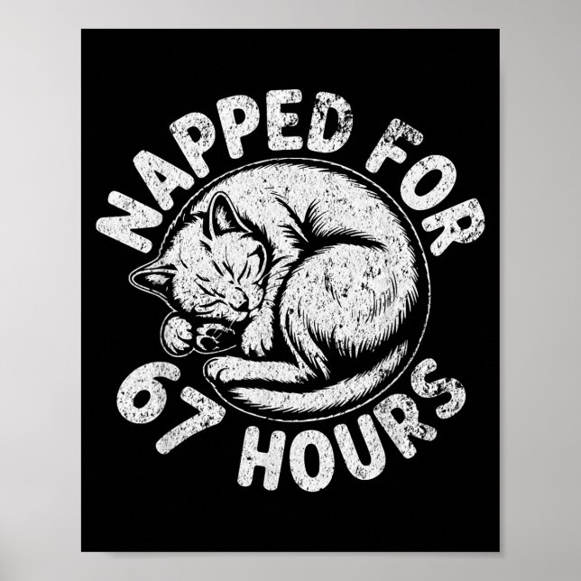Women Napped For 67 Hours Funny Cat Lover Owner Gi Poster (Front)