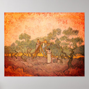 Women Picking Olives by van Gogh:  Poster