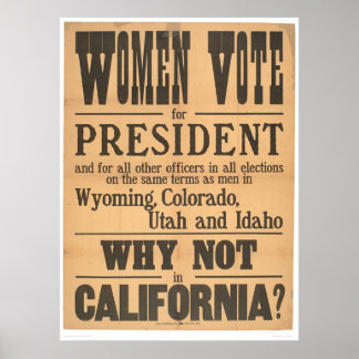 Women Vote Broadside (1873A) Poster
