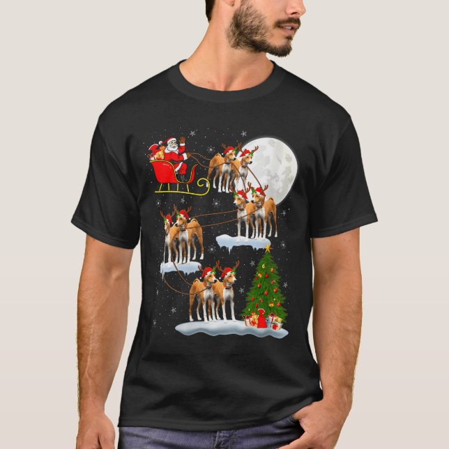 Womens Basenji Dog Santa Sleigh Flying Funny Magic T-Shirt (Front)