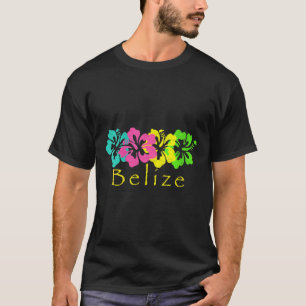 Womens Belize Tropical Beach _ Belize Surf V-neck T-Shirt