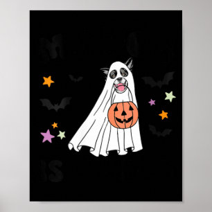 Womens Black And White Border Collie Boo Dog Poster