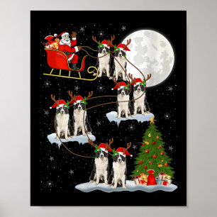 Womens Border Collie Dog Santa Sleigh Flying Funny Poster