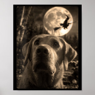 Womens Funny Labrador Selfie Full Moon Flying Poster