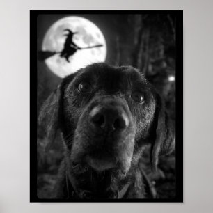 Womens Funny Labrador Selfie Full Moon Flying Poster
