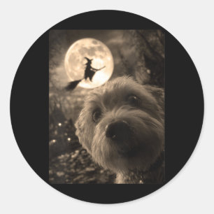 Womens Funny Maltese Selfie Full Moon Flying Witch Classic Round Sticker