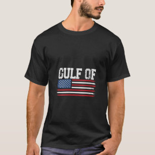 Womens Gulf of United States of America USA V Neck T-Shirt