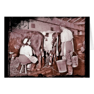 Women's Land Army DAIRY WWII