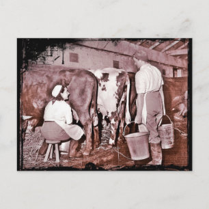 Women's Land Army DAIRY WWII Postcard