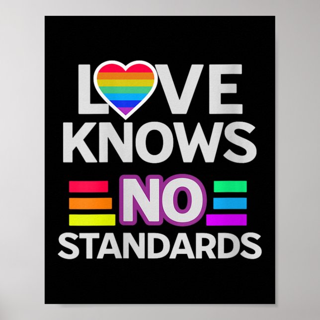 Womens Love Knows No Standards Rainbow Pride Equal Poster (Front)