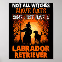 Women's not witches have cats some have a labrador