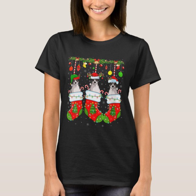 Womens Russell Terrier Dog In Christmas Socks Funn T-Shirt (Front)