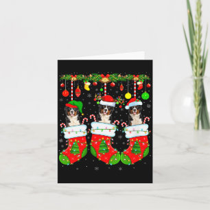 Womens Saint Bernard Dog In Christmas Socks Funny  Card