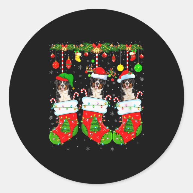 Womens Saint Bernard Dog In Christmas Socks Funny  Classic Round Sticker (Front)