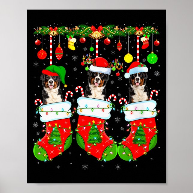 Womens Saint Bernard Dog In Christmas Socks Funny  Poster (Front)