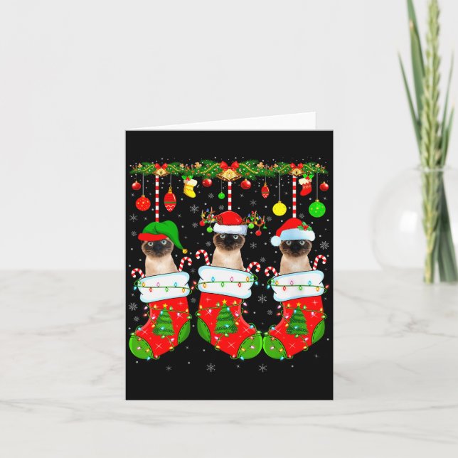 Womens Siamese Cats In Christmas Socks Funny Cat X Card (Front)