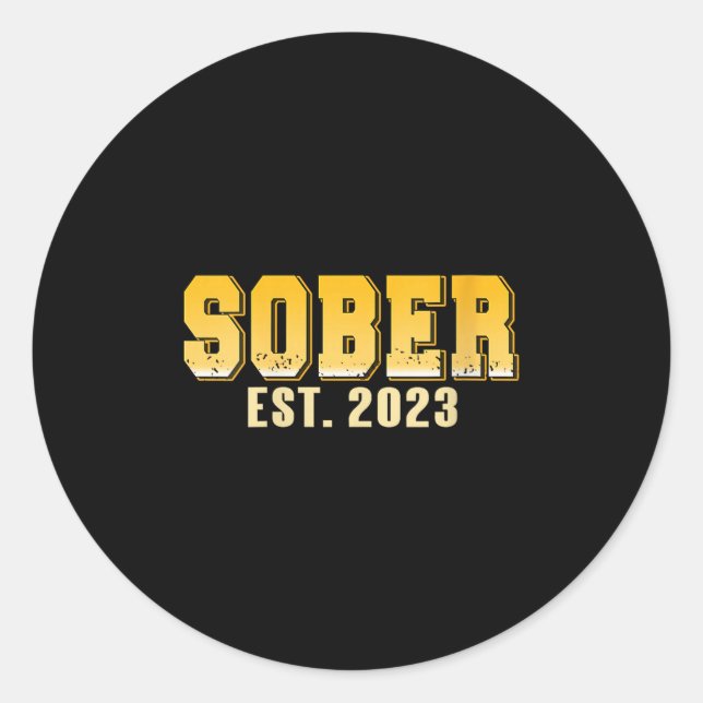 Womens Sober Est 2023 Recovery Journey Pride Miles Classic Round Sticker (Front)