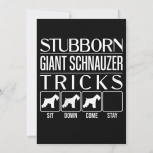 Womens Stubborn Giant Schnauzer Tricks, Funny Announcement
