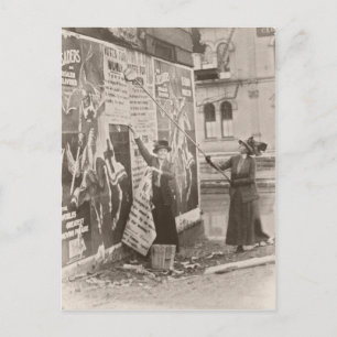 Womens Sufferage Campain Postcard