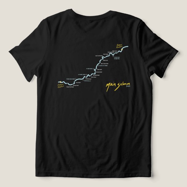 Women's Version 2 Tri-Blend Shirt (Design Back)