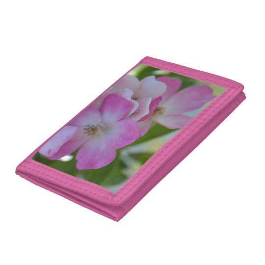 Women's Wallet
