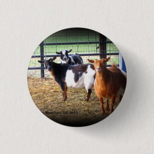 Wonder Goats 1 Inch Round Button