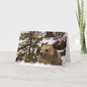 "Wonder" Holiday Card