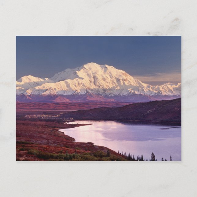 Wonder Lake and Mt. Denali at sunrise in the Postcard (Front)