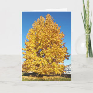 Wonder of Creation/Autumn Card