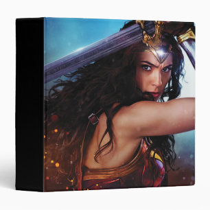 Wonder Woman Blocking With Sword Binder