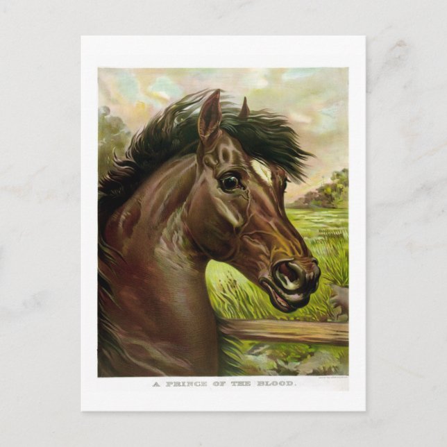 wonderful antique horse litho painting postcard (Front)