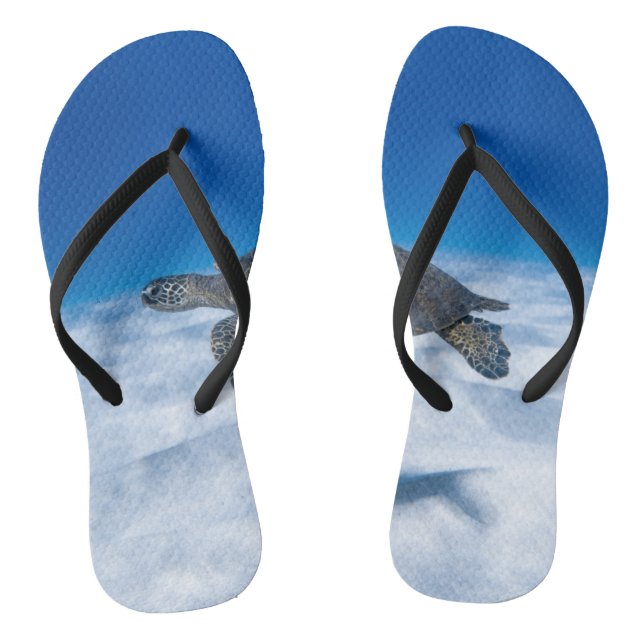 Wonderful Aquatic Turtle Flip Flops (Footbed)