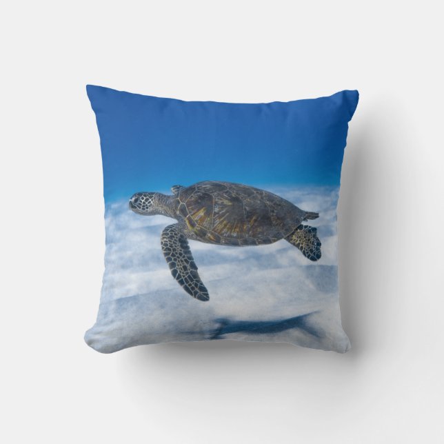 Wonderful Aquatic Turtle Throw Pillow (Front)
