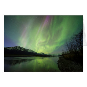 Wonderful Aurora