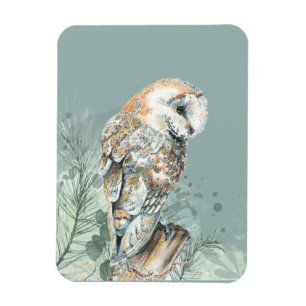 Wonderful Barn Owl Bird Wildlife Nature Art Magnet