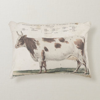 Wonderful & beautiful vintage cow pillow. accent pillow