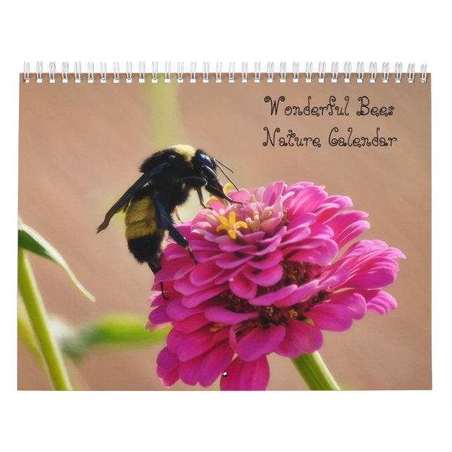 Wonderful Bees Nature Calendar (Cover)