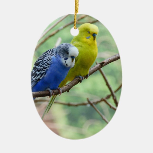 Wonderful Budgie Ceramic Ornament (Front)