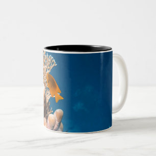 Wonderful Fishes And Reefs Two-Tone Coffee Mug